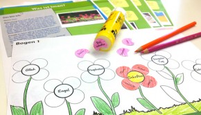 Für jeden der 6 Glaubensinhalte wächst in diesem Imangarten eine Blüte, die richtig benannt werden möchte.